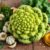Romanesco – zdrowe właściwości i przepisy na smaczne dania